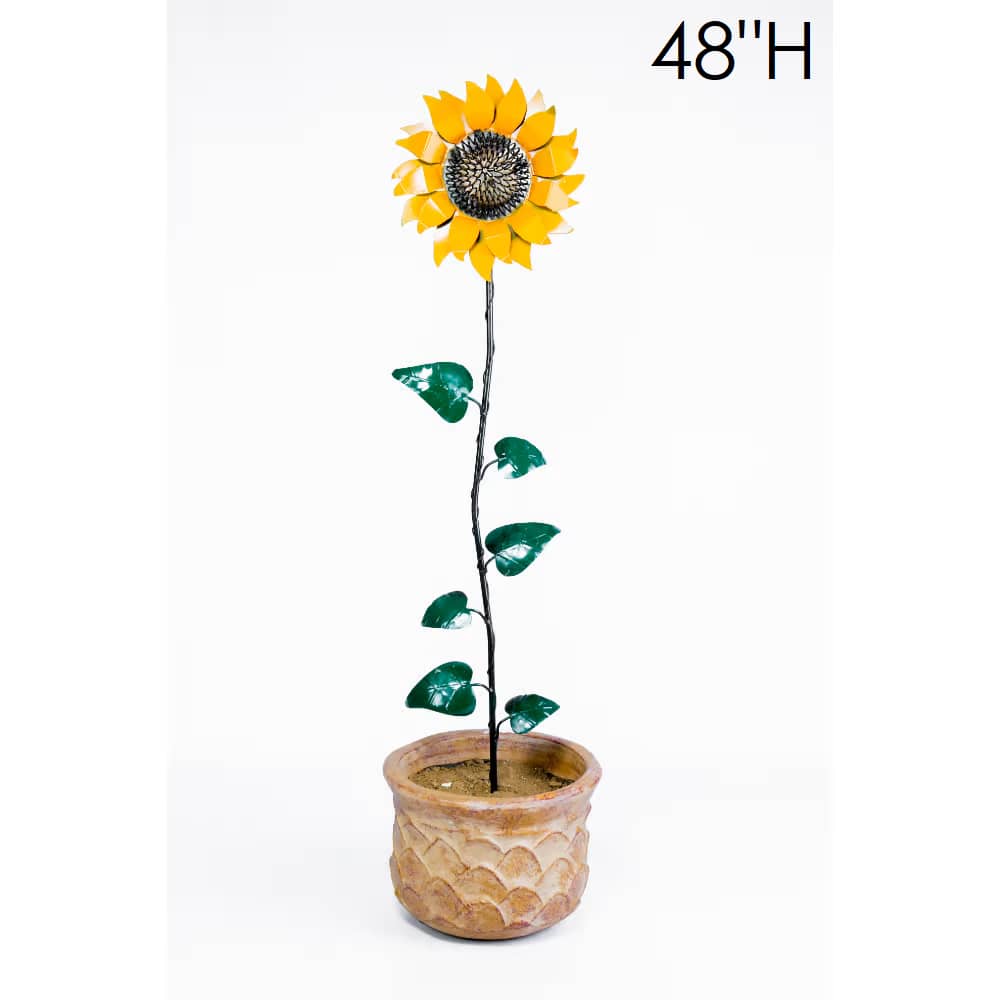 32-016 - MD Sunflower