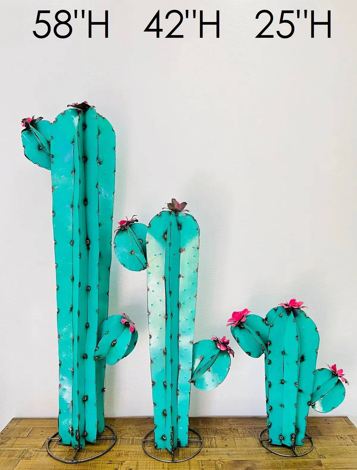 32-079 - Mammillaria Cactus 3PC Set - Asstd. Colors