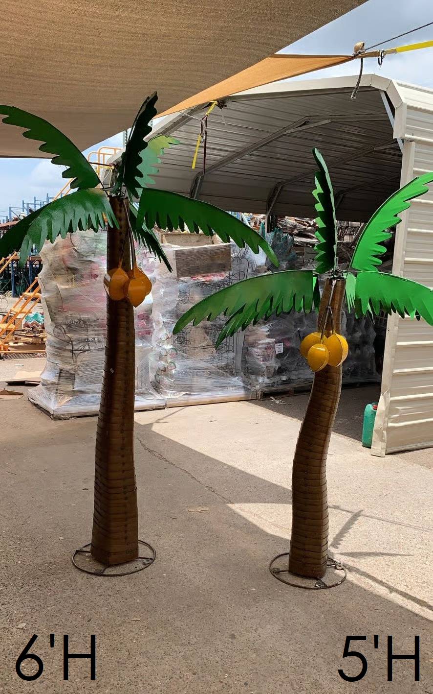32-221 - Curved Palm Trees 2pc Set