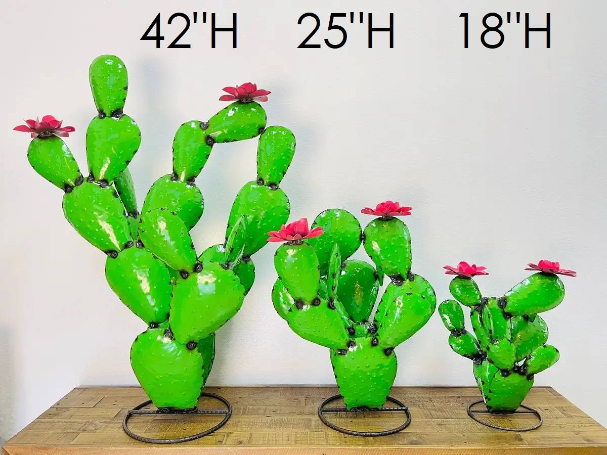 32-410 - Cactus with Flowers 3pc Set - Asstd. Colors