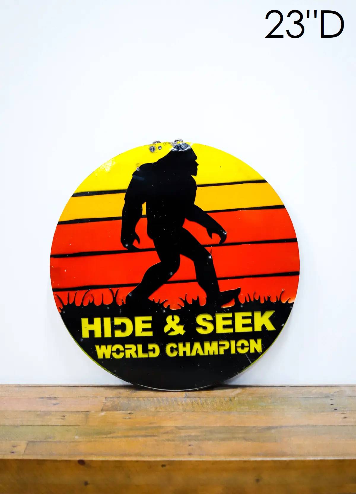 36-294 - Hide & Seek World Champion Screen